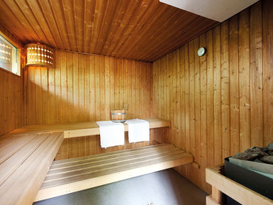 X3 sauna