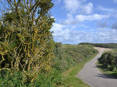 A4 zDuinzicht-Exterieur-Omgeving-DSC_6349