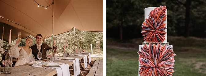 672 x 250 Kleurrijke bruiloft