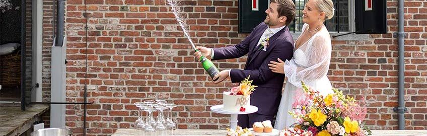 taart feest