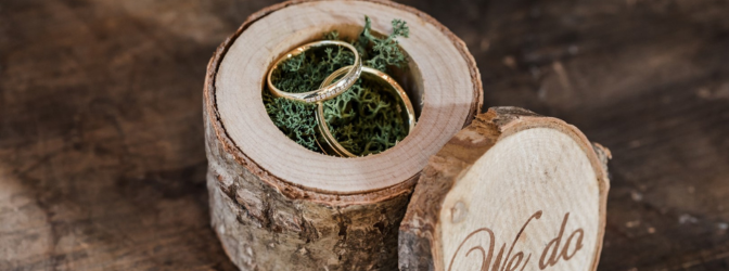 Ringen 627x250 pixels (2)