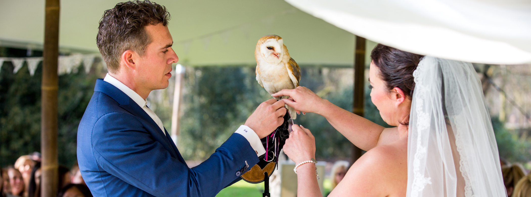 672x250 pixels Avegoor (2)