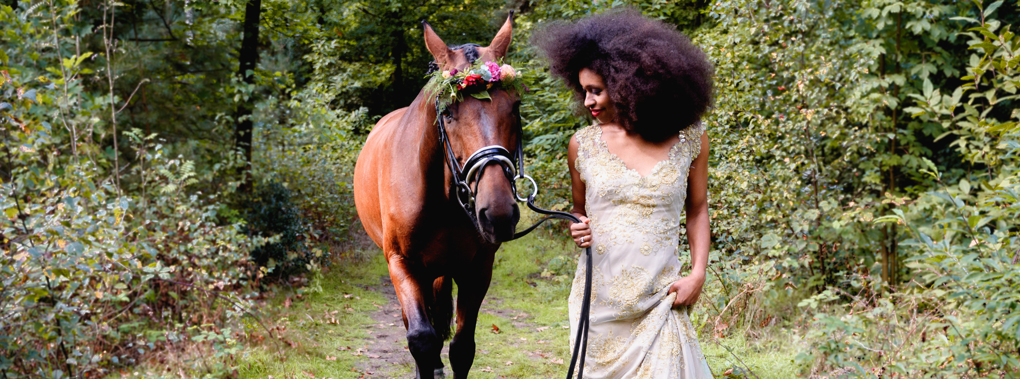 672x250 pixels MalleJan Paard