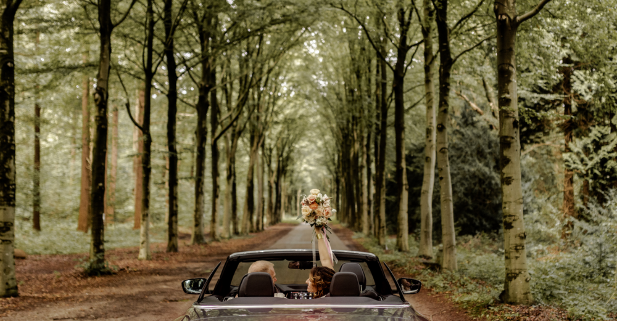 Huwelijksaanzoek locaties: de mooiste plekken in Nederland