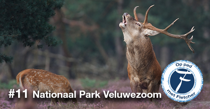 #11 Nationaal Park Veluwezoom
