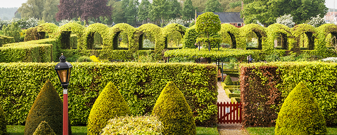 Kasteeltuin van Muiderslot