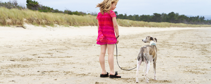 Meisje laat hond uit op het strand