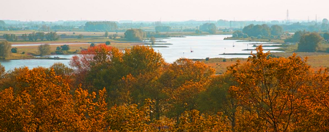 Herfstfoto van de Nederrijn