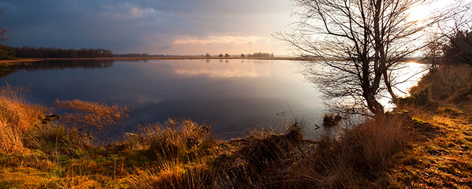 Foto van Dwingerleveld