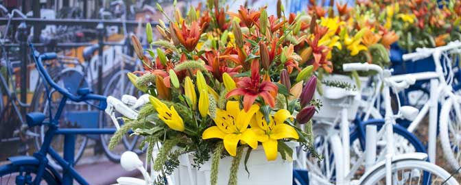 Bloemenshow op de brug met fietsen
