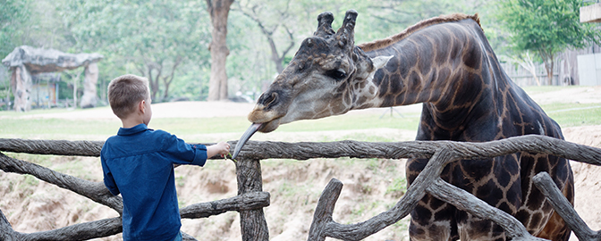 Kind met giraf in GaiaZOO