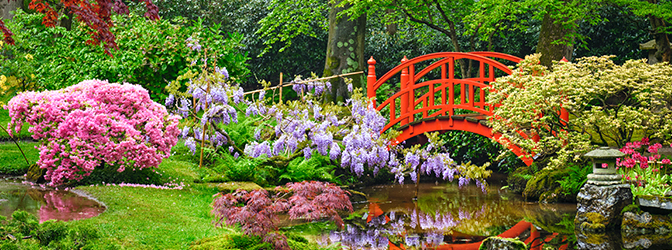 De Japanse Tuin in Clingendael