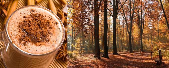 Warme chocomel en herfstbeeld